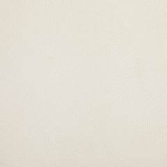 Riccio - Side Chair (Set of 2) - Natural Frame