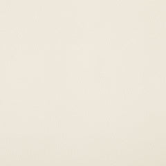 Riccio - Faux Leather Dining Arm Chair (Set of 2) - Black Frame