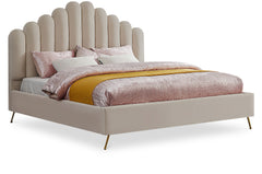 Lily - Bed
