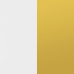 Elsa - 2 Door Wood Storage Accent Cabinet - White And Gold