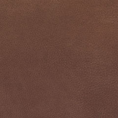 Clean-Slate - Power Recliner / Adj Headrest - Caramel