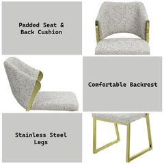 Galdesa - Side Chair (Set of 2) - Teddy Sherpa & Mirrored Gold