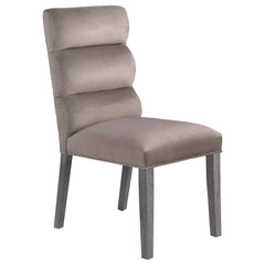 Carla Velvet Upholstered Dining Side Chair Ash (set Of 2) - MyWaynesHome #