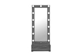 Lexi - Narrow Tall Mirror - Gray