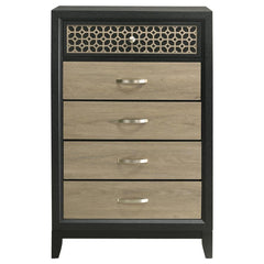 Valencia Brown Chest - MyWaynesHome #