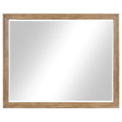 Taylor Brown Dresser Mirror - MyWaynesHome #