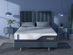 MLILY ChiroPro - 3.0 Plush Mattress
