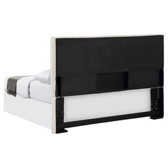 Pirro - Upholstered Panel Headboard