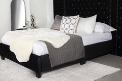 Hailey Black Queen Bed W/ Wing Panel - MyWaynesHome #