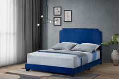 Haemon - Queen Bed - Blue Velvet