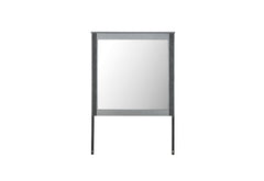 Logan - Mirror - Silver