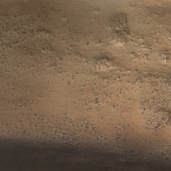 Wallmen - Tray - Champagne Gold Finish