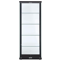 Delphinium Black Curio Cabinet - MyWaynesHome #
