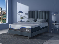 MLILY ChiroPro - 1.0 Firm Mattress