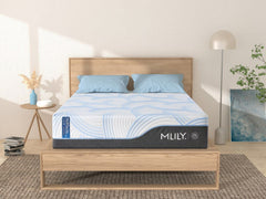 MLILY WellFlex Ice - 3.0 Plush Mattress