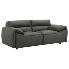 Buxton - Leather Upholstered Sofa Set