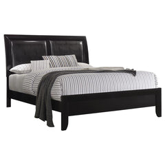 Briana Black Queen Bed - MyWaynesHome #