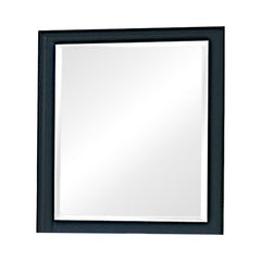 Sandy Beach Black Dresser Mirror - MyWaynesHome #