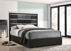 Blacktoft Black Queen Bed - MyWaynesHome #
