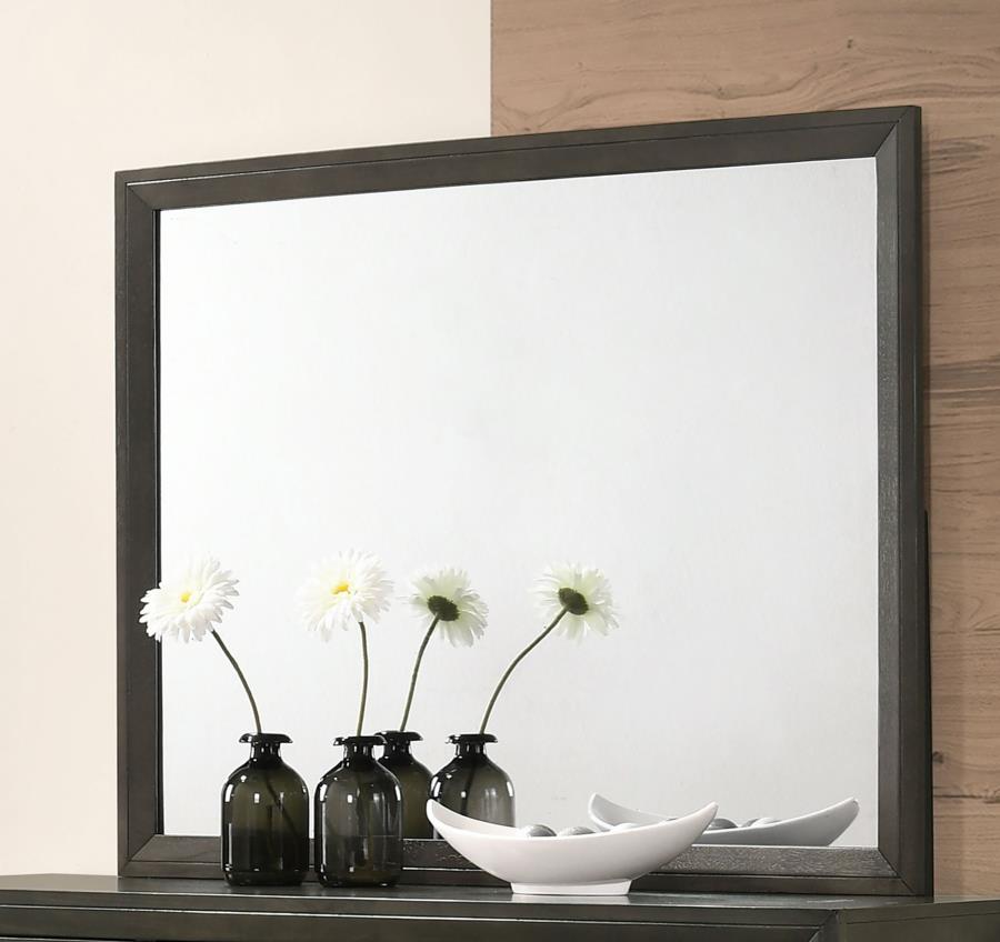Serenity Grey Dresser Mirror - MyWaynesHome #