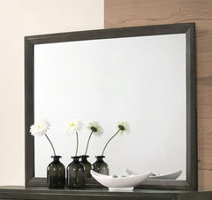 Serenity Grey Dresser Mirror - MyWaynesHome #