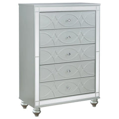 Gunnison Silver Chest - MyWaynesHome #