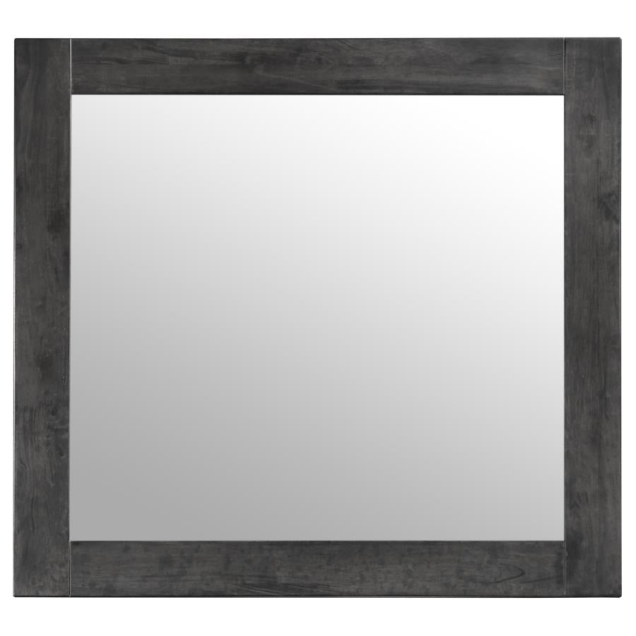 Lorenzo Grey Dresser Mirror - MyWaynesHome #