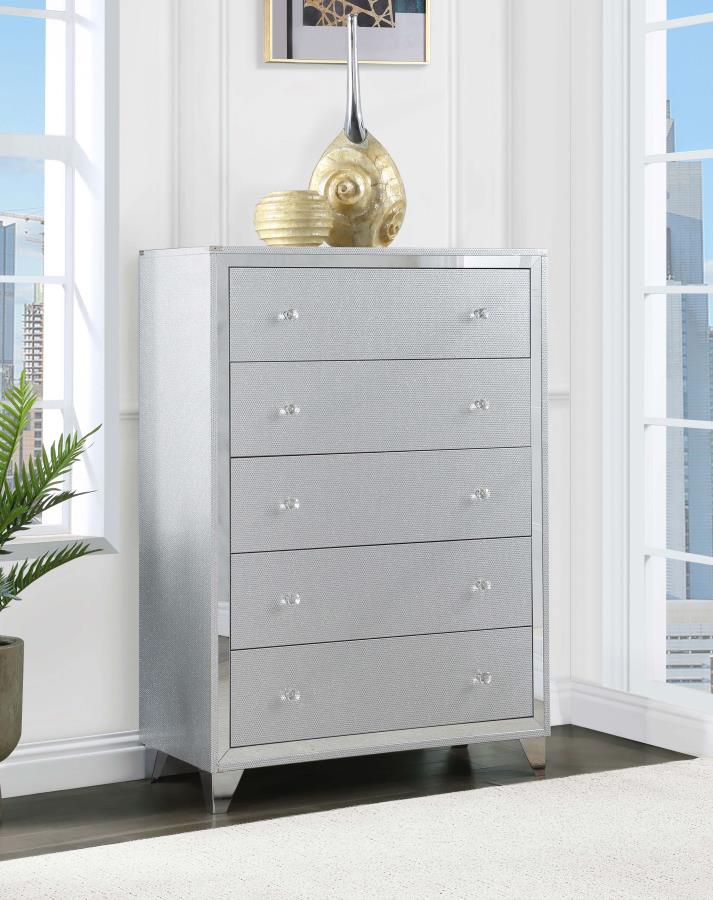 Larue Silver Chest - MyWaynesHome #