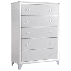 Larue Silver Chest - MyWaynesHome #