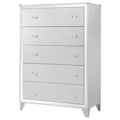Larue Silver Chest - MyWaynesHome #