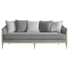 Fernando - Sofa With 5 Pillows - Gray Chenille & Champagne