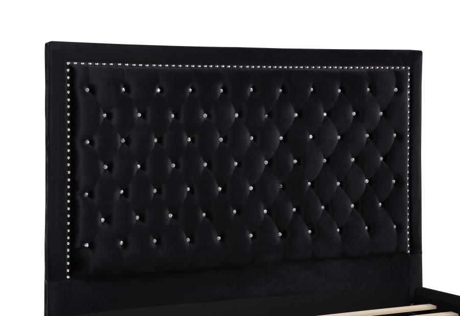 Hailey Black California King Bed - MyWaynesHome #