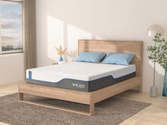 MLILY WellFlex - 3.0 Plush Mattress