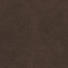 Crossplex - Power Recliner / Adjustable Headrest - Smoke