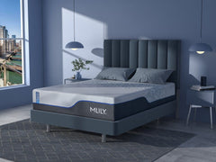 MLILY ChiroPro - 3.0 Plush Mattress