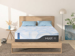 MLILY WellFlex Ice - 1.0 Firm Mattress