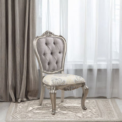 Ariadne - Side Chair (Set of 2) - Velvet & Antique Platinum