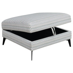 Clint Multi Storage Ottoman - MyWaynesHome #