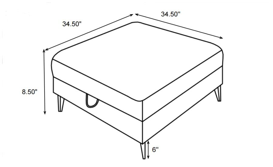 Clint Multi Storage Ottoman - MyWaynesHome #
