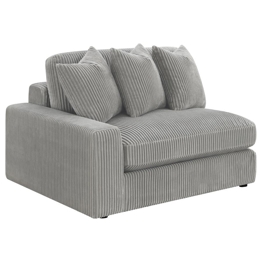 Blaine Grey Sectional - MyWaynesHome #