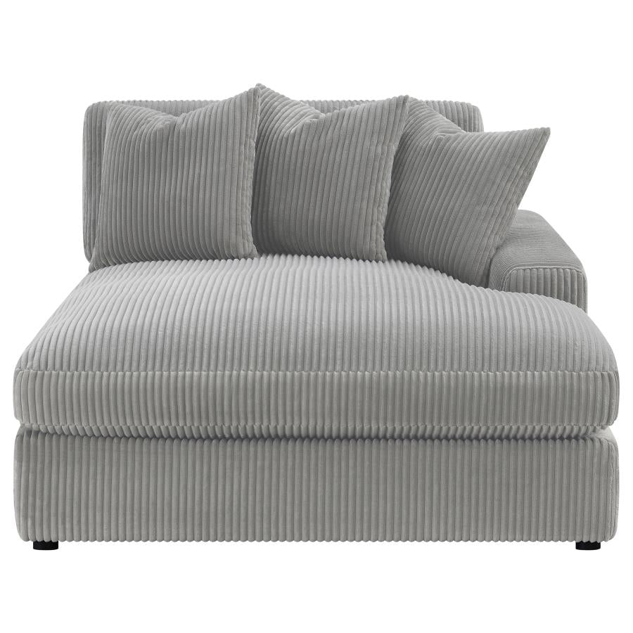 Blaine Grey Sectional - MyWaynesHome #