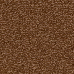 Healy Pier - Power Recliner / Adj Headrest - Chocolate