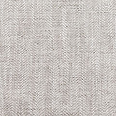 Dalenville - Accent Chair - Platinum