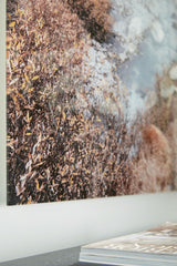 Darinby - Wall Art - Gray / Brown / White