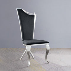 Cyrene - Side Chair (Set of 2) - Black Fabric & Stainless Steel