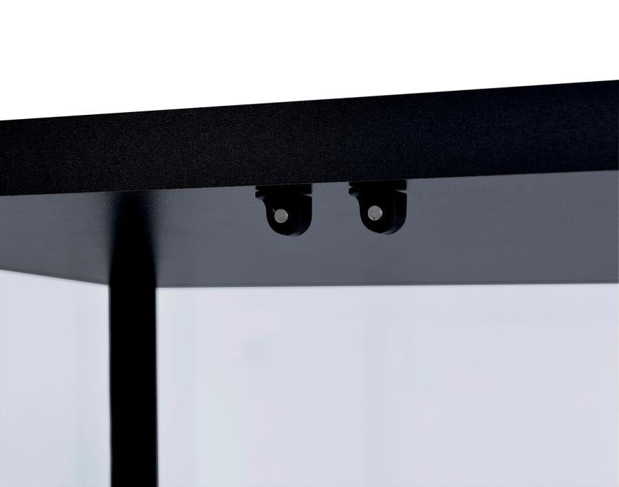 Delphinium Black Curio Cabinet - MyWaynesHome #