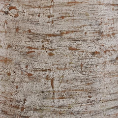 Wellbridge - Vase - Distressed White